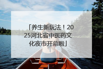 养生新玩法！2025河北省中医药文化夜市开幕啦