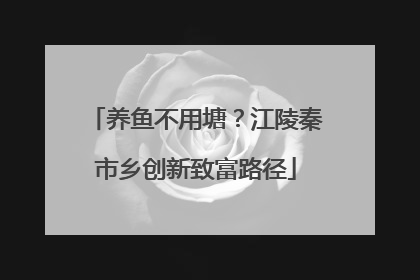 养鱼不用塘？江陵秦市乡创新致富路径