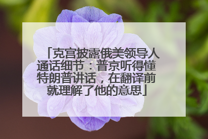克宫披露俄美领导人通话细节：普京听得懂特朗普讲话，在翻译前就理解了他的意思