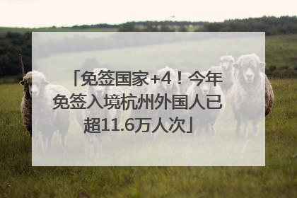 免签国家+4！今年免签入境杭州外国人已超11.6万人次