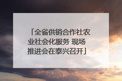 全省供销合作社农业社会化服务 现场推进会在泰兴召开