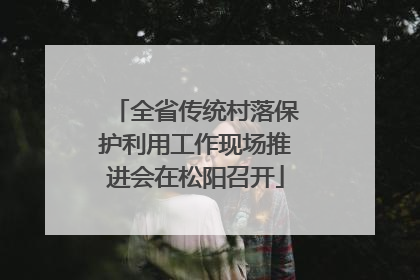 全省传统村落保护利用工作现场推进会在松阳召开