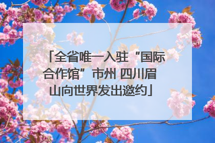 全省唯一入驻“国际合作馆”市州 四川眉山向世界发出邀约