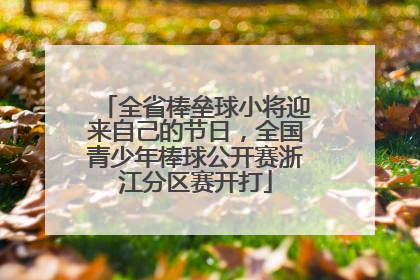 全省棒垒球小将迎来自己的节日，全国青少年棒球公开赛浙江分区赛开打