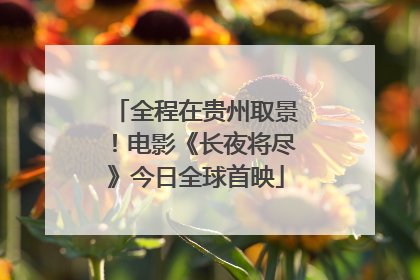 全程在贵州取景！电影《长夜将尽》今日全球首映
