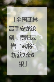 全国武林高手安龙论剑，贵阳云岩“武将”斩获7金6银
