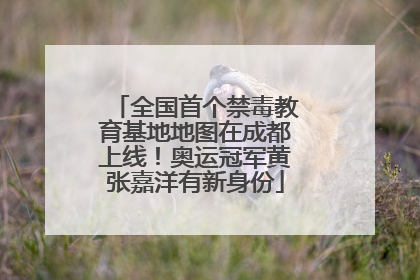 全国首个禁毒教育基地地图在成都上线！奥运冠军黄张嘉洋有新身份