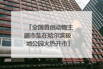 全国首创动物主题市集在哈尔滨极地公园火热开市