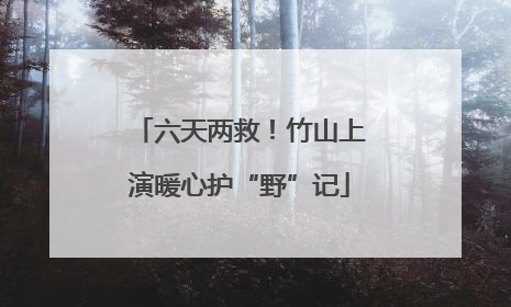 六天两救！竹山上演暖心护“野”记