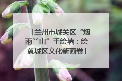 兰州市城关区“烟雨兰山”手绘墙：绘就城区文化新画卷
