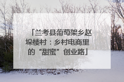 兰考县葡萄架乡赵垛楼村：乡村电商里的“甜蜜”创业路
