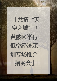 共拓“天空之城”！黄陂区举行低空经济深圳专场推介招商会