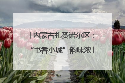 内蒙古扎赉诺尔区：“书香小城”韵味浓