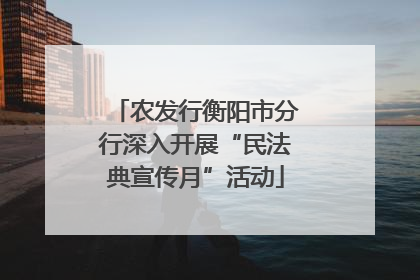 农发行衡阳市分行深入开展“民法典宣传月”活动