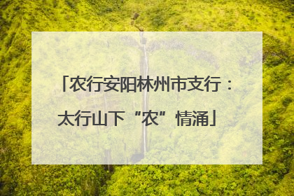 农行安阳林州市支行：太行山下“农”情涌