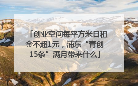 创业空间每平方米日租金不超1元，浦东“青创15条”满月带来什么