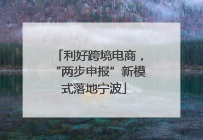 利好跨境电商，“两步申报”新模式落地宁波