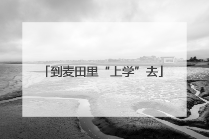 到麦田里“上学”去