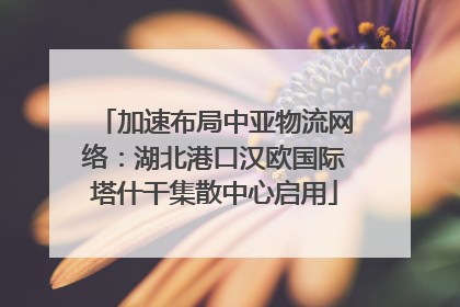 加速布局中亚物流网络：湖北港口汉欧国际塔什干集散中心启用
