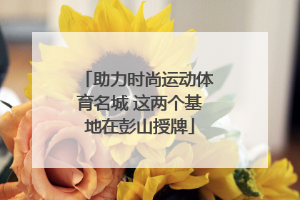 助力时尚运动体育名城 这两个基地在彭山授牌