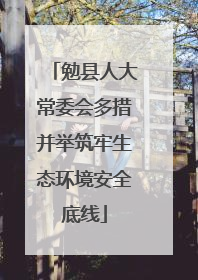 勉县人大常委会多措并举筑牢生态环境安全底线