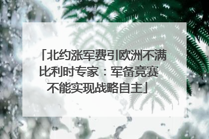 北约涨军费引欧洲不满 比利时专家：军备竞赛不能实现战略自主