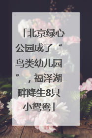 北京绿心公园成了“鸟类幼儿园”，福泽湖畔降生8只小鸳鸯