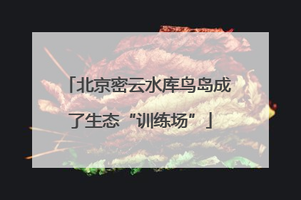北京密云水库鸟岛成了生态“训练场”