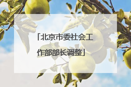 北京市委社会工作部部长调整