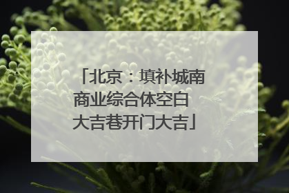 北京：填补城南商业综合体空白 大吉巷开门大吉