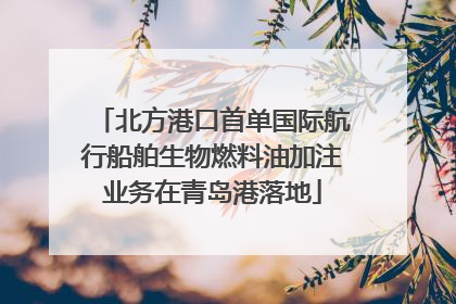 北方港口首单国际航行船舶生物燃料油加注业务在青岛港落地