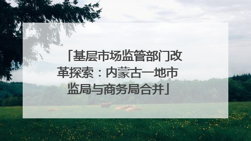 基层市场监管部门改革探索：内蒙古一地市监局与商务局合并
