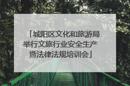 城阳区文化和旅游局举行文旅行业安全生产暨法律法规培训会