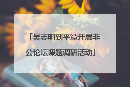 吴志明到平潭开展非公论坛课题调研活动