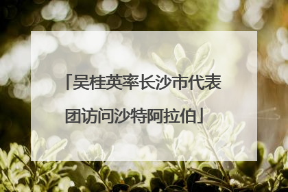 吴桂英率长沙市代表团访问沙特阿拉伯