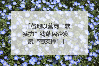各地以营商“软实力”铸就民企发展“硬支撑”