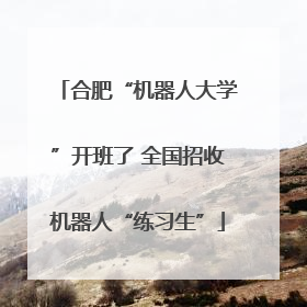 合肥“机器人大学”开班了 全国招收机器人“练习生”