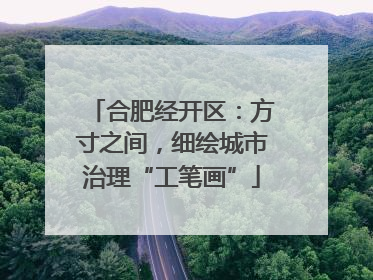合肥经开区：方寸之间，细绘城市治理“工笔画”
