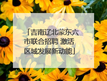 吉南辽北蒙东六市联合招聘 激活区域发展新动能