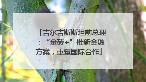 吉尔吉斯斯坦前总理：“金砖+”推新金融方案，重塑国际合作