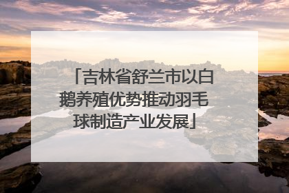 吉林省舒兰市以白鹅养殖优势推动羽毛球制造产业发展