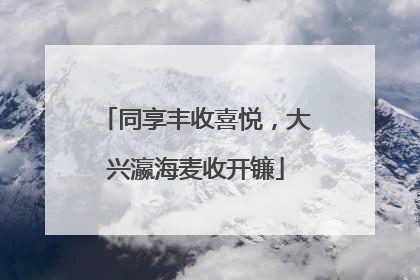 同享丰收喜悦，大兴瀛海麦收开镰