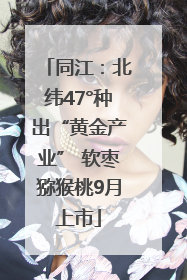 同江：北纬47°种出“黄金产业” 软枣猕猴桃9月上市