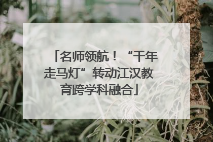 名师领航！“千年走马灯”转动江汉教育跨学科融合