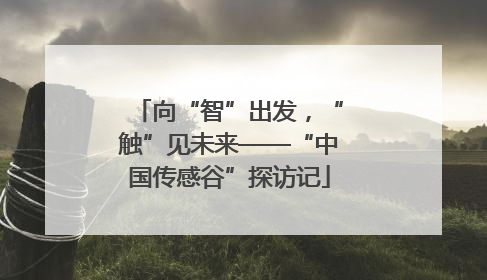 向“智”出发，“触”见未来——“中国传感谷”探访记