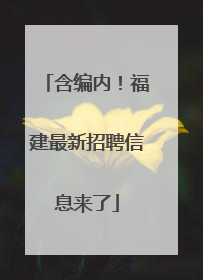 含编内！福建最新招聘信息来了