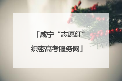 咸宁“志愿红”织密高考服务网