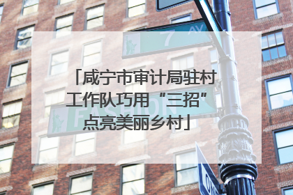 咸宁市审计局驻村工作队巧用“三招”点亮美丽乡村