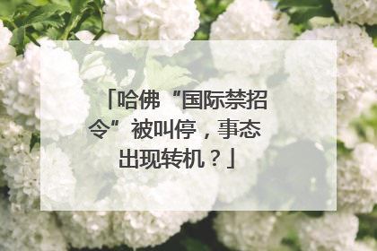 哈佛“国际禁招令”被叫停，事态出现转机？