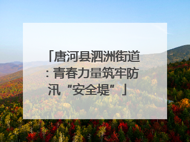 唐河县泗洲街道：青春力量筑牢防汛“安全堤”